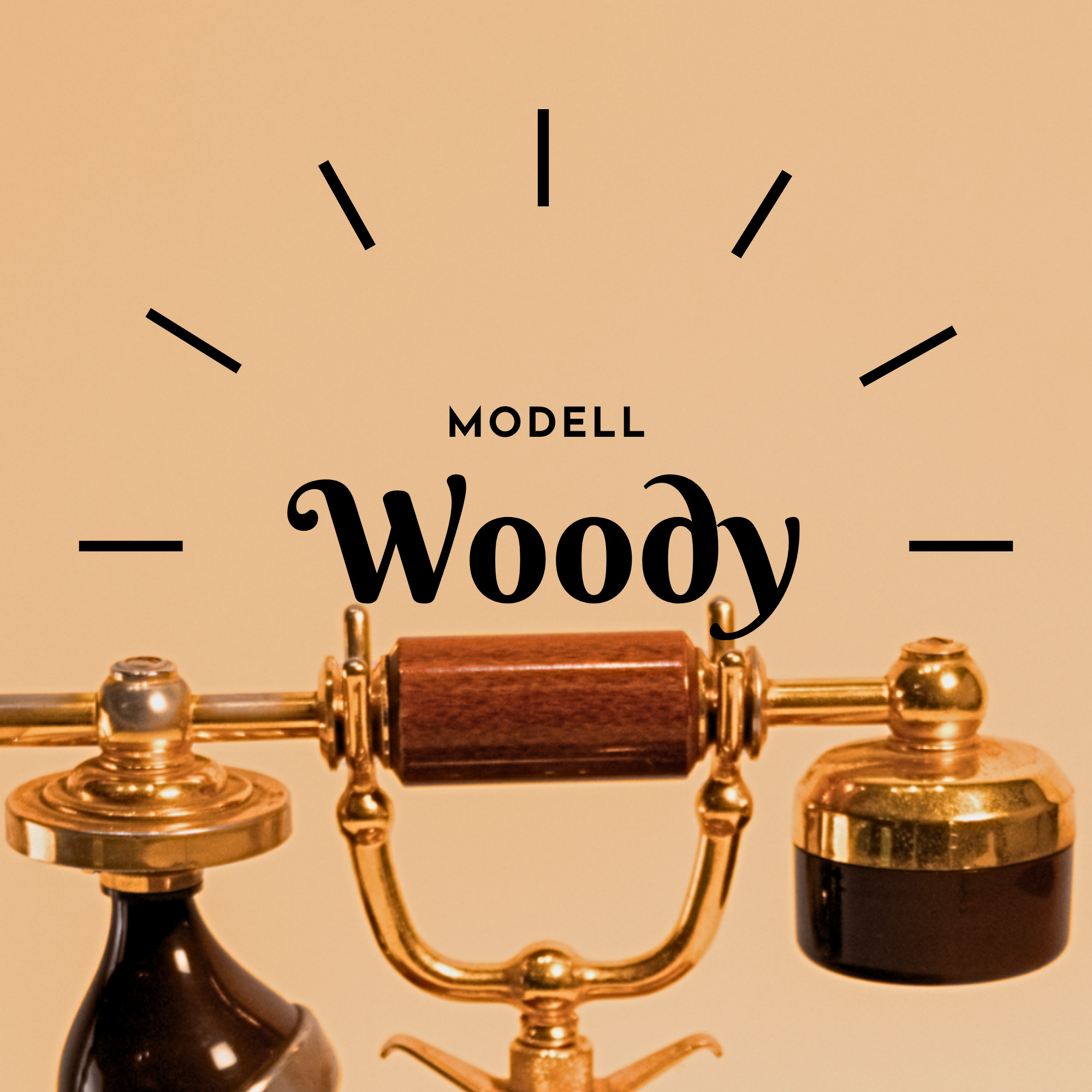 Vintage-Telefon Woody, Ansicht 2